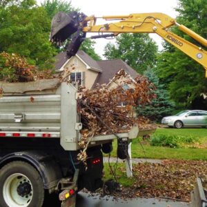 Tree and brush removal