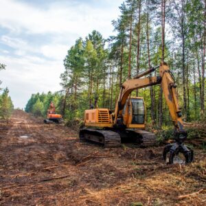 Land clearing