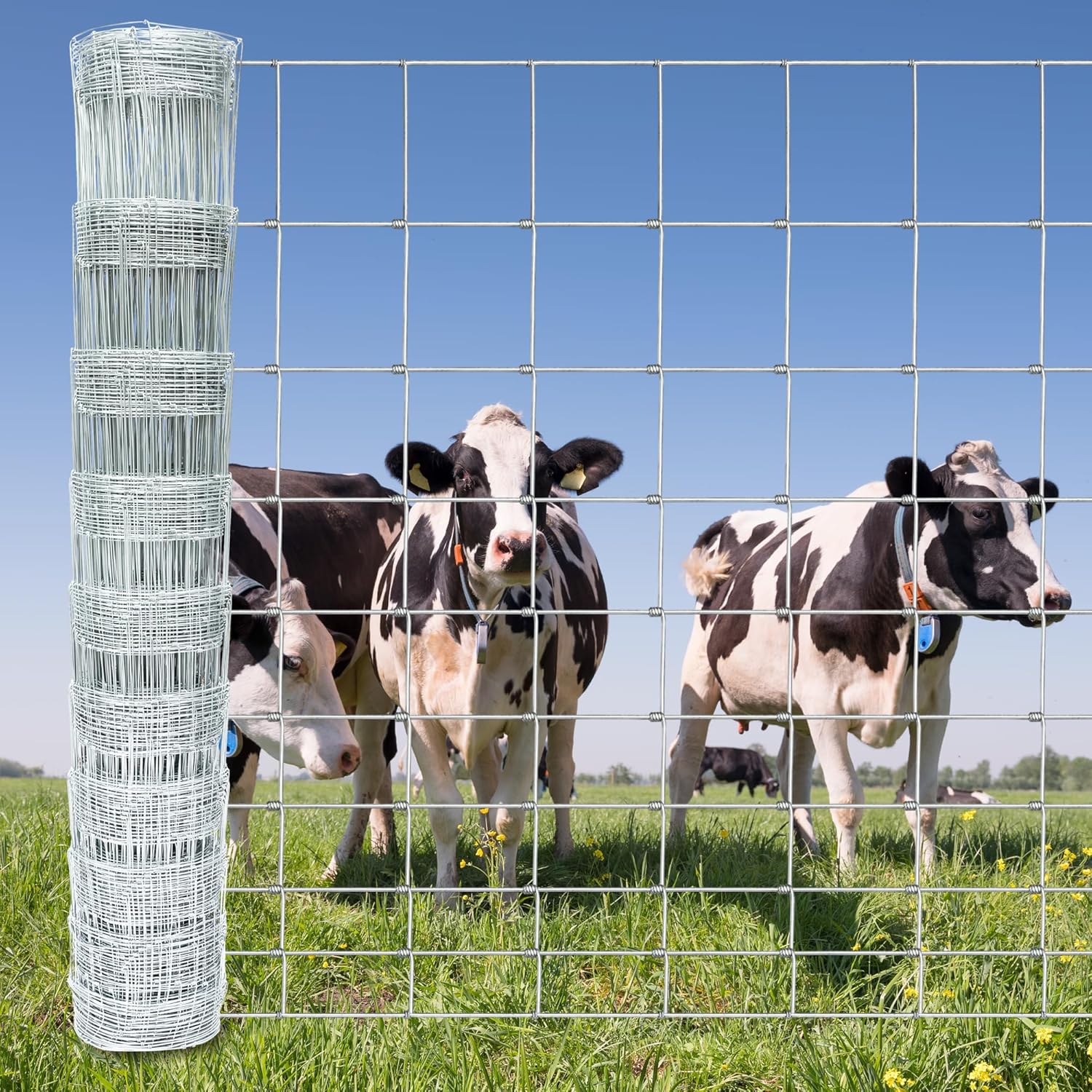 Farm Fencing