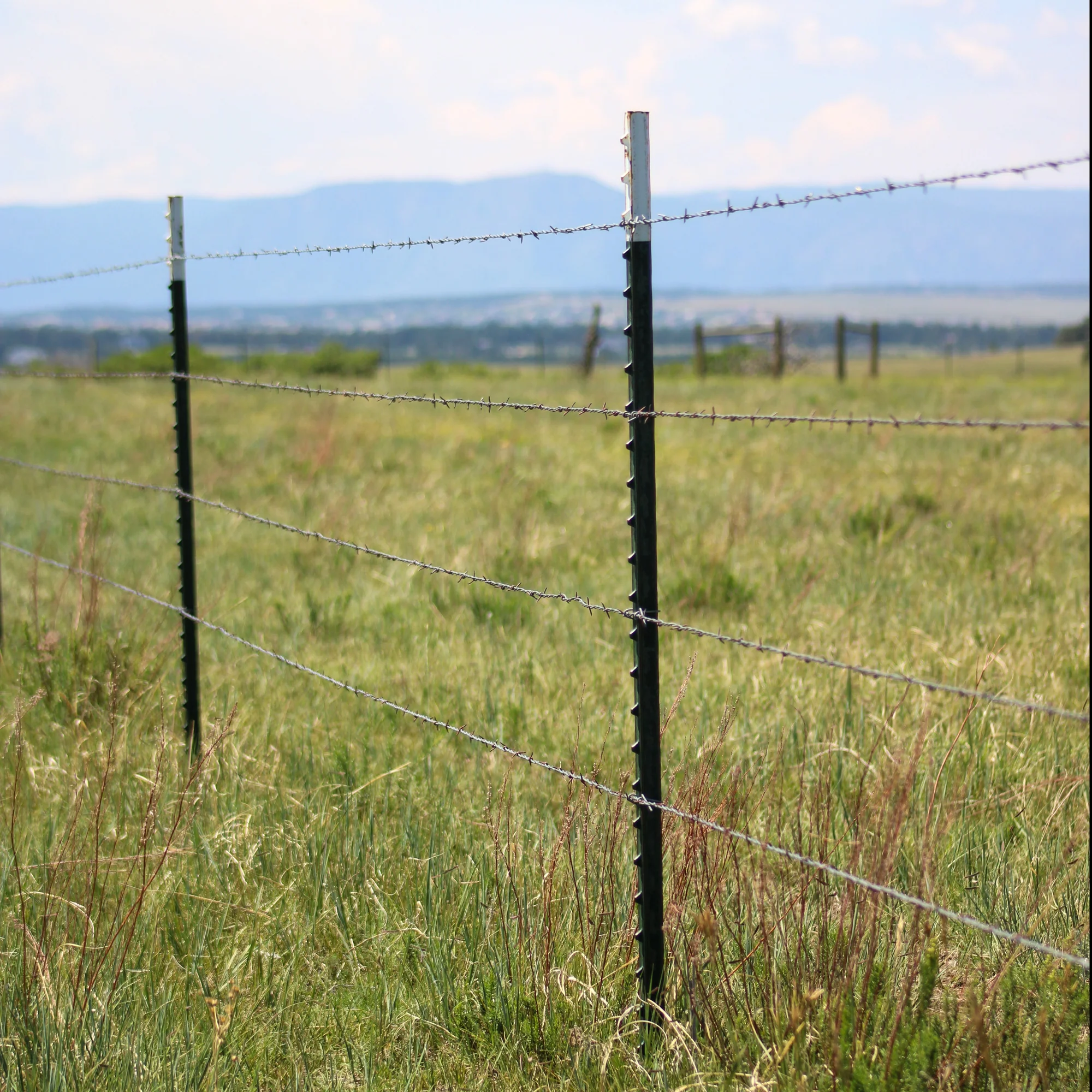 T Fencing posts